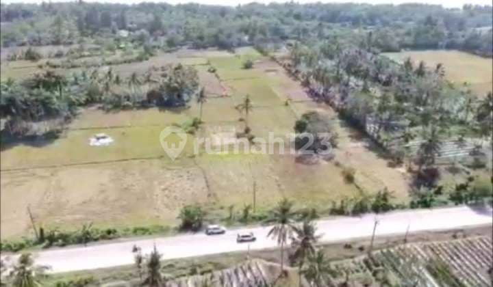 Jual Tanah Premium Jalan Raya Panimbang,Tanjung Lesung Banten