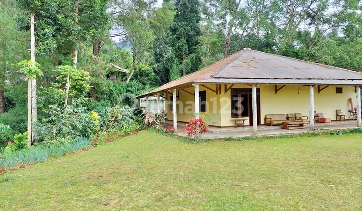 Ciloto Villa Puncak