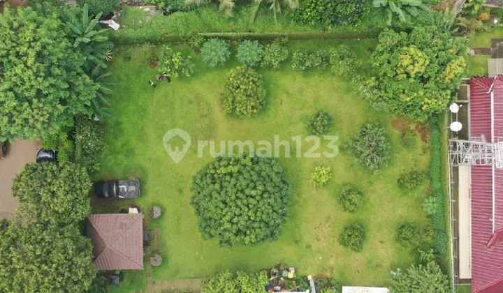 Patra Kuningan Patra Kuningan