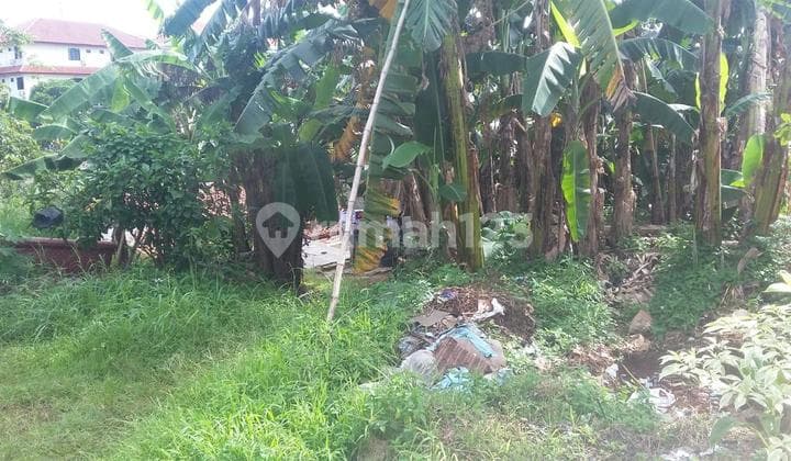 Kampung Sawah Land, Jagakarsa