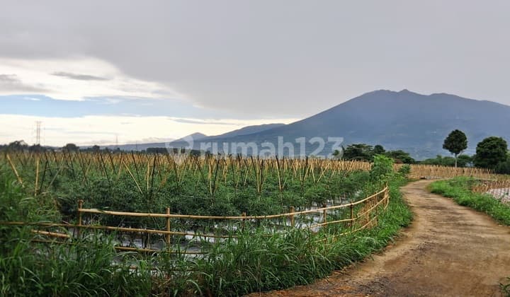 Tanah Murah Cantik Eksklusif Dekat Tol Caringin Bogor