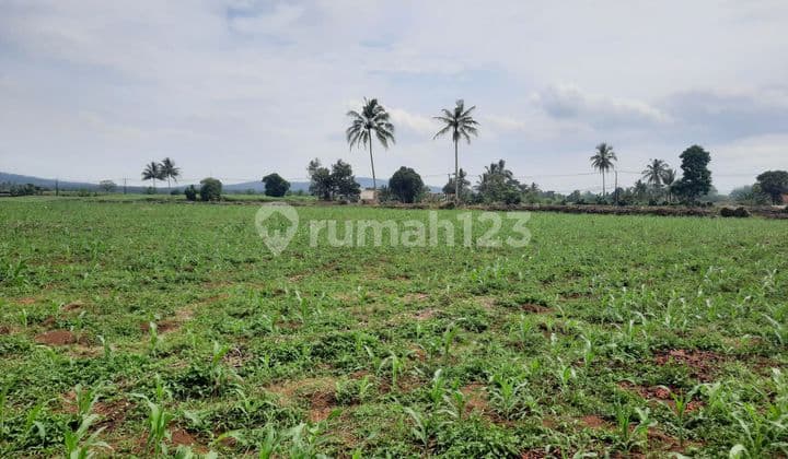 Tanah Murah untuk Perumahan Strategis Dibawah NJOP
