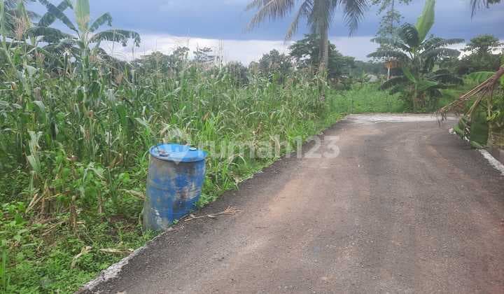 Tanah Gerbang 2 IPB dramaga Untuk Kost Mahasiswa