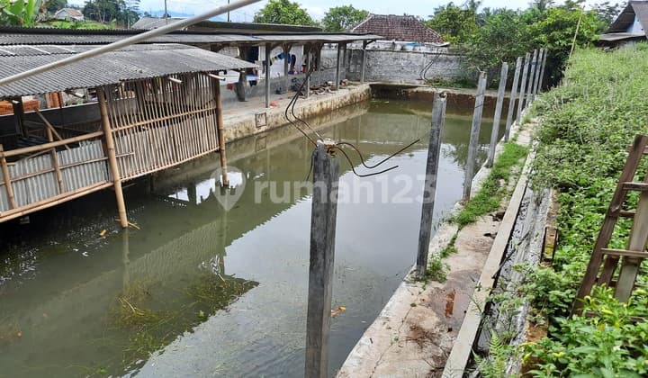 Rumah Kolam Ikan Tapos Tenjolaya Jalur Wisata Gunung Salak Endah