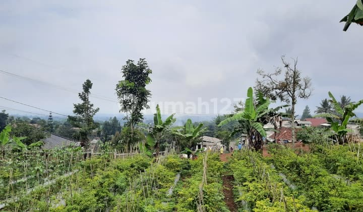 Tanah Strategis View Bagus untuk Villa Mega Mendung Bogor