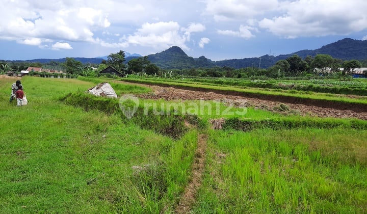 Tanah Subur Strategis View Gunung Jalan Kabupaten Leuwiliang