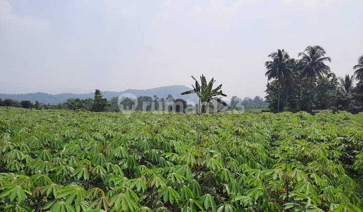 Tanah Murah Strategis Depan Jalur Wisata Gunung Bunder Bogor
