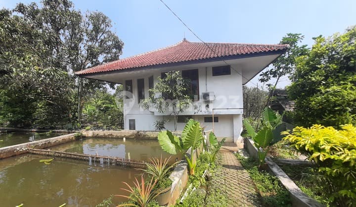 Tanah Villa Kolam Ikan Strategis Depan Jalur Wisata Ciampea Bogor