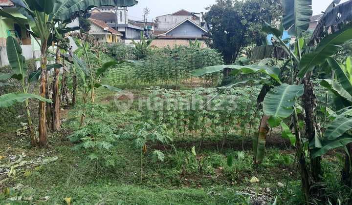 Tanah Bagus SHM Strategis Untuk Kost-an Cifor Bubulak Bogor