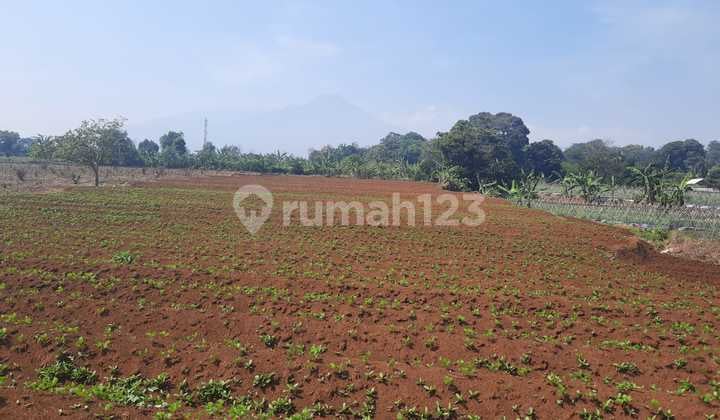 Tanah Strategis Subur Murah View Cantik Dramaga Bogor