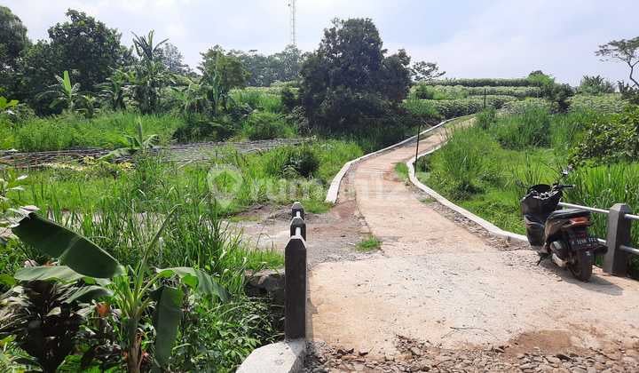 Tanah Murah Subur View Gunung Jalur Wisata Ciampea Bogor