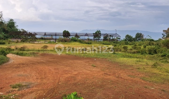Tanah Matang Rencana Kandang Ayam View Cantik Nanggung Bogor