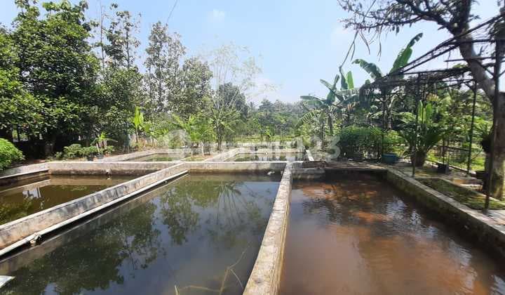 Tanah Villa Kolam Ikan Strategis untuk Caffe & Rsto