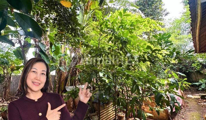 Tanah Luas 241 M2 di Jatiasih Dekat Tol dan Akses Mudah