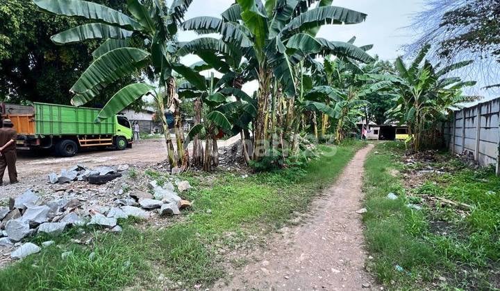 Jual Tanah Jalan Cut Mutia, Seberang Perumahan Cut Meutia Bekasi Timur