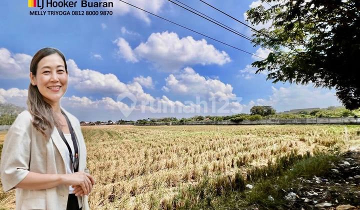 Land on the Edge of the Highway Suitable for Warehousing, Hotels, and Housing in West Karawang