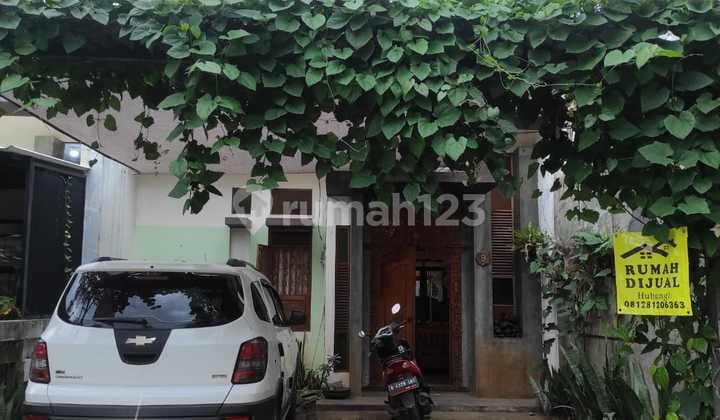 Rumah Modern Tropis Dengan Pintu Jati Gebyok Rumah