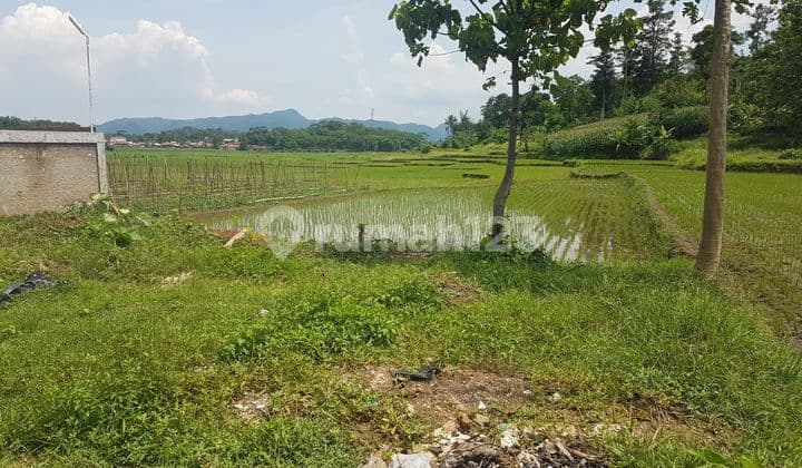 Tanah Dijual Cililin Bandung Barat