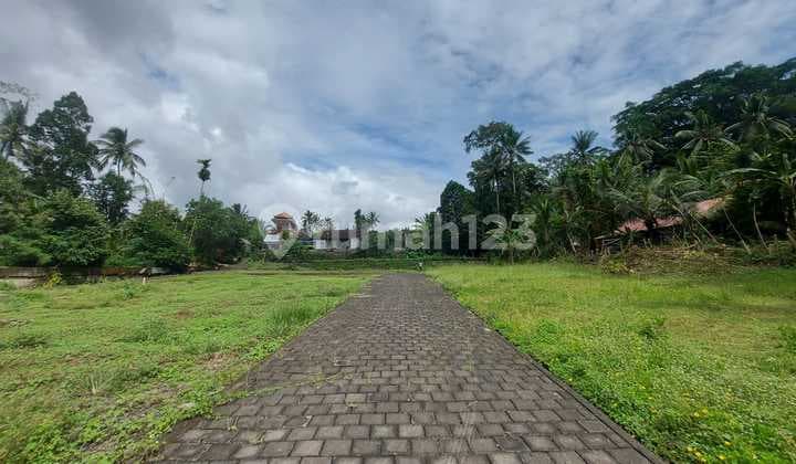 Dijual Tanah Kavling View Jungle Daerah Tenang Di Tulikup, Gianyar.
