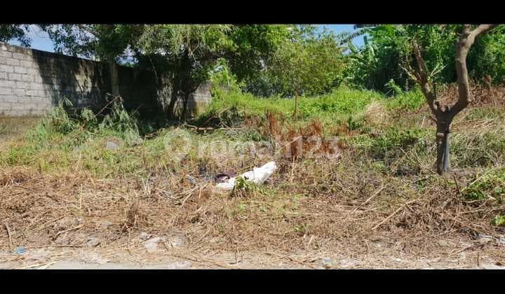 Dijual Tanah Lokasi Strategis di Jl. Selukat, Keramas Gianyar.