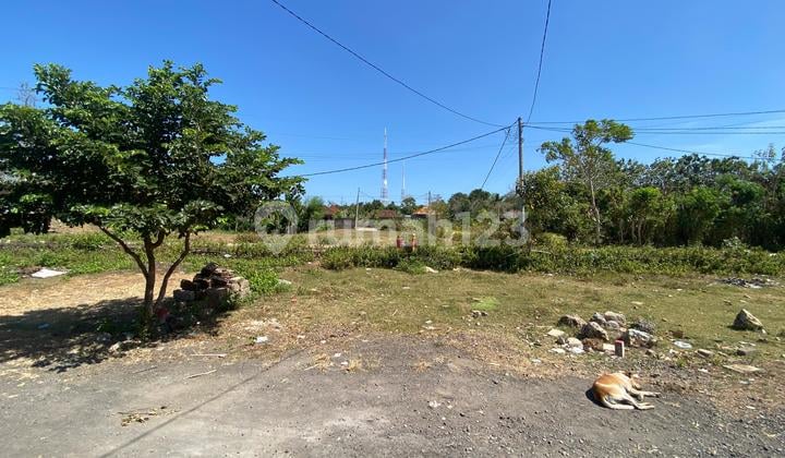 Land for Sale on Jl. Pura Pemecutan Ungasan