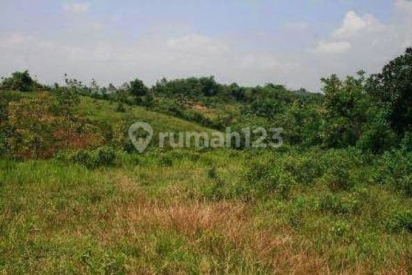 Tanah 10 Ha Dijual Bagus Untuk Perumahan Mewah