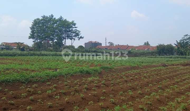 Dijual Tanah Murah Di Pinggir Jalan Bedahan Sawangan