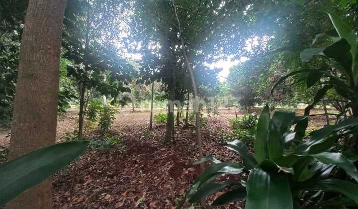 Dijual Tanah Strategisdi Subang Dekat Pintu Tol Kalijati