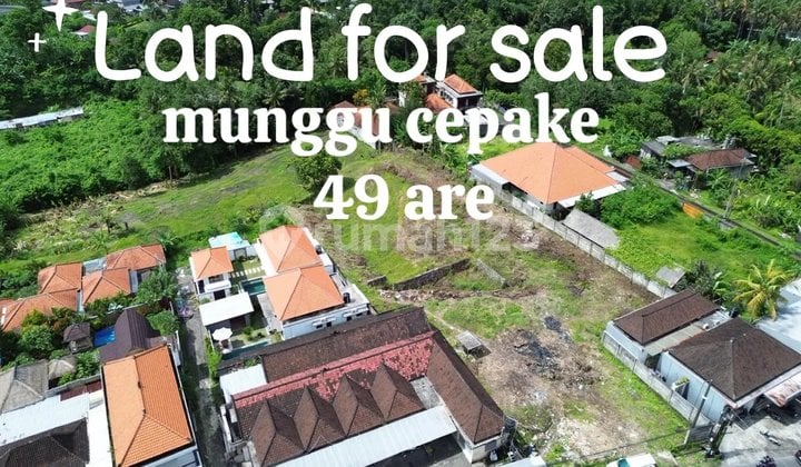 For sale: Land in Munggu