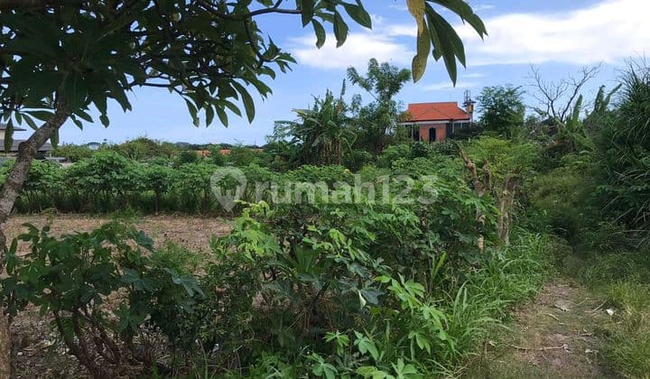 Dijual Tanah Strategis Sanur Kaja
