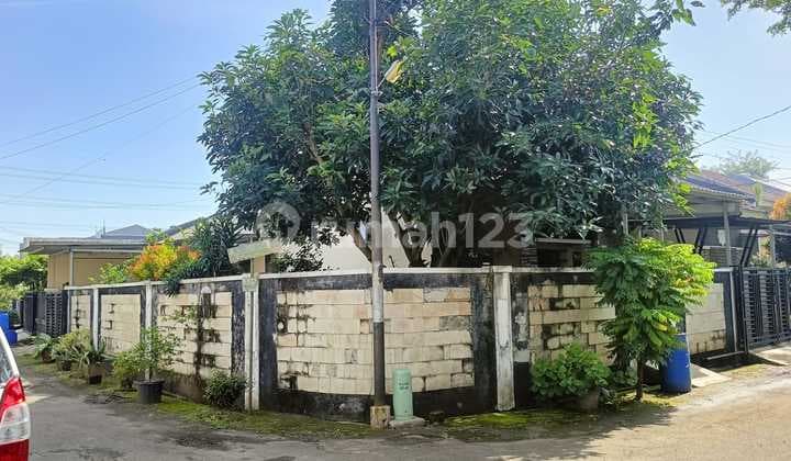 Rumah Nyaman Ada Taman di Vila Rizki Ilhami, Kelapa Dua Tangerang