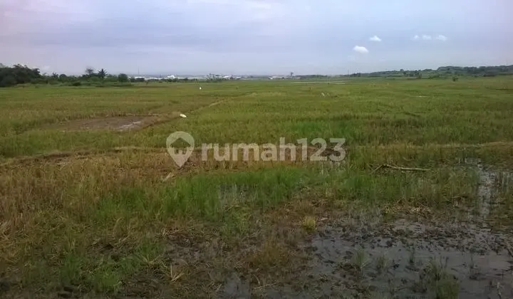 Tanah Industri Dekat Kawasan Industri Surya Cipta Karawang