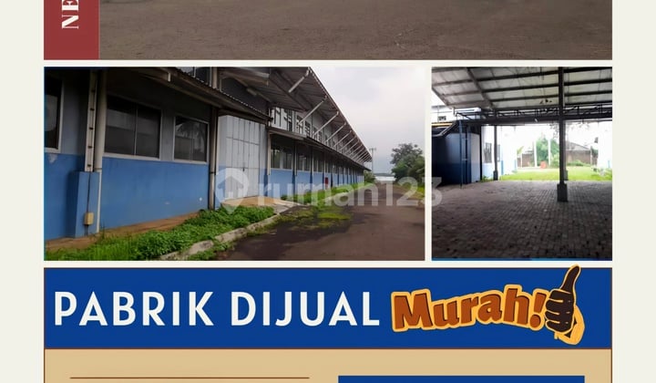 Lelang Pabrik Gudang Murah Di Sukaraja Bogor Luas 19795 M2