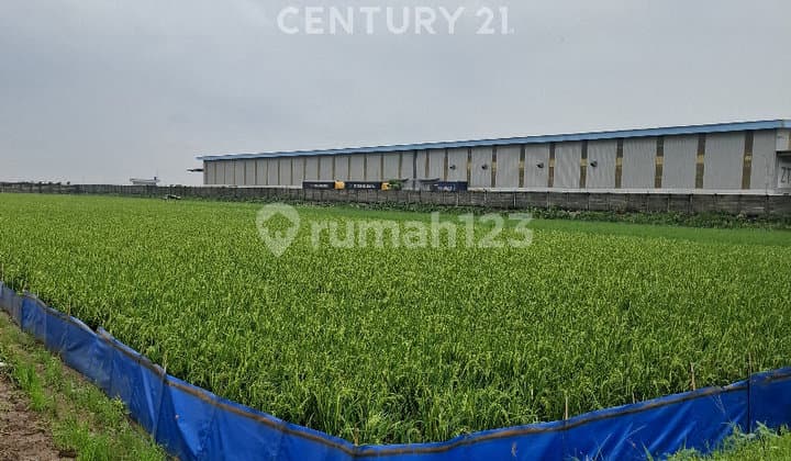 Tanah Pinggir Jalan Baru Karawang untuk Gudang, Pabrik, Perumahan