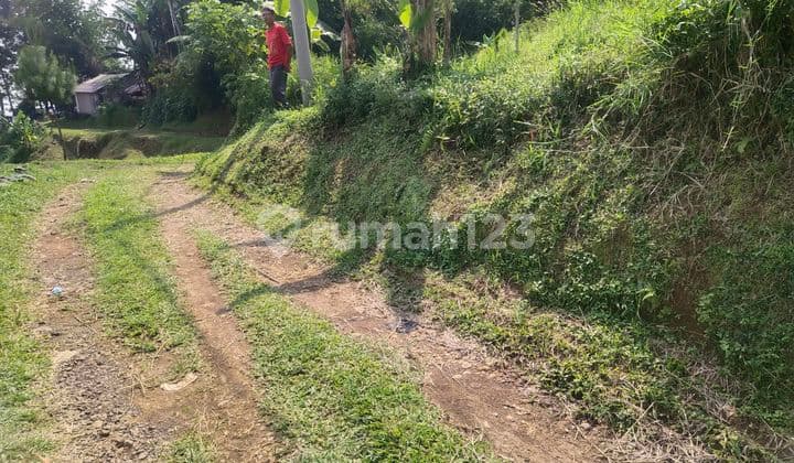 Hillside Land at Cirimpak Hill, Megamendung