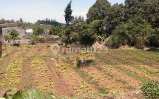 Kavling Panorama Dijual