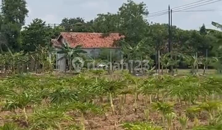Kertajati Tanah Dijual