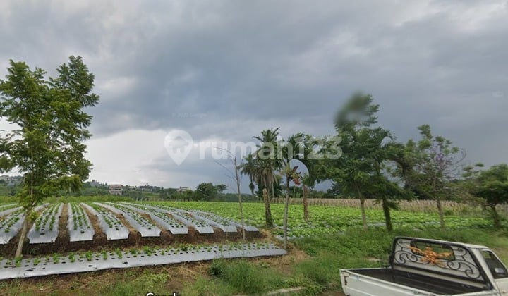 Kavling Setiabudi Dekat Gh Universal ,Palacio, Puri Setiabudi Town House Cocok Untuk Cabin Hotel Atau Glamping Hotel