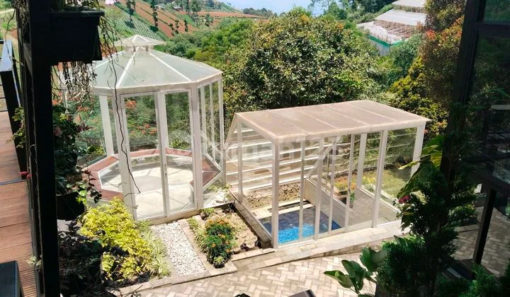 Rumah Lux Dago Pakar dengan Bangunan yang Dirancang dengan Penuh Seni Punya View