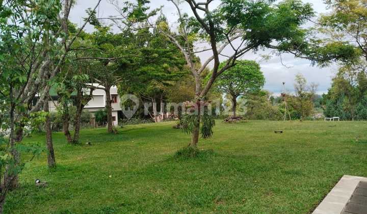 Dago Udara Sejuk View Luarbiasa Halaman Luas Bersebelahan Dengan Hutan