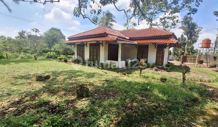 Rumah Tua 1,5 Lantai Hitung Tanah dengan Pemandangan Gunung di Ciapus