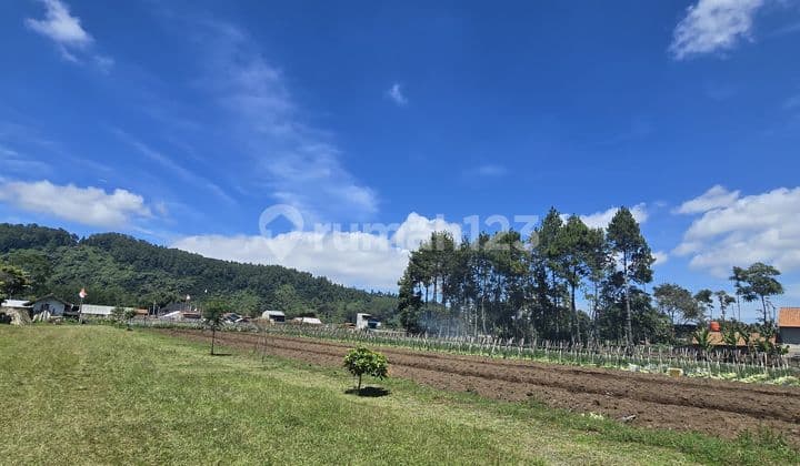 Dijual Kavling Maribaya Cibodas Mainroad Jalur 2 Mobil