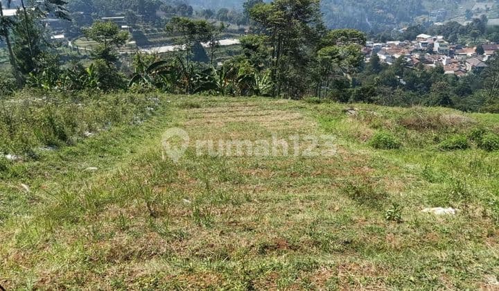 Dijual Kavling Dibandung Barat Pagerwangi View Kota