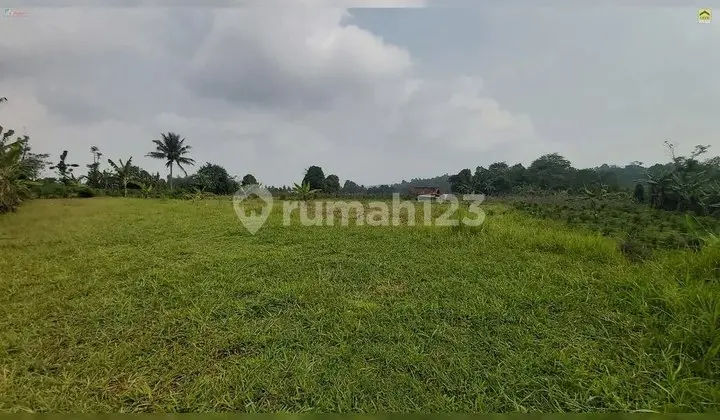 1.6 Hectare Flat Land in Wanayasa, Purwakarta