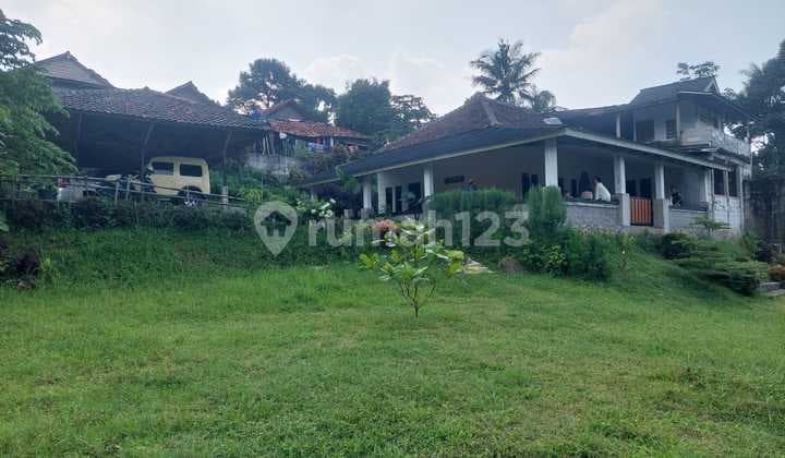 Rumah Bagus Luas Asri Murah Harga Dibawah Pasaran View Sawah Di Ciomas Kota Bogor Bangunan Baru 2 Th