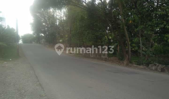 Garden Land in the Jonggol Area, Bogor Regency, Suitable for Building Educational Tourism Housing, Cafe-Resto, etc.