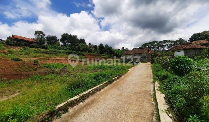 Tanah Matang Dekat Tol Padalarang dan Kantor Bupati Bandung Barat