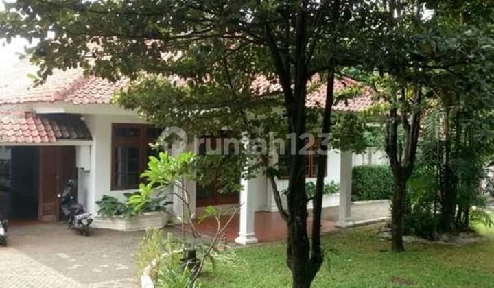 Quick Sale Commercial Area House