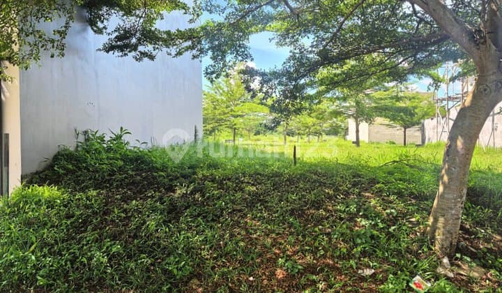 Tanah Murah 162 Araya Hill Dekat Binus