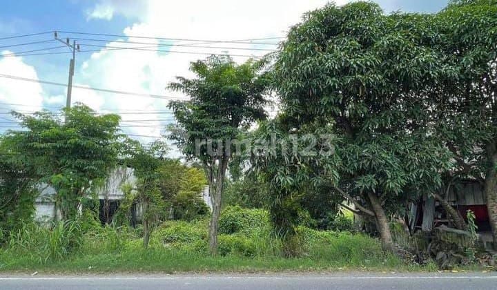 Cheap Land 300K-ish Gresik Main Road Area 2.5 Ha Near Toll Road
